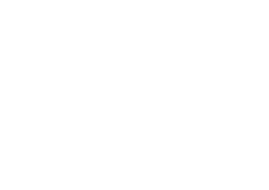 logo twins immobilier